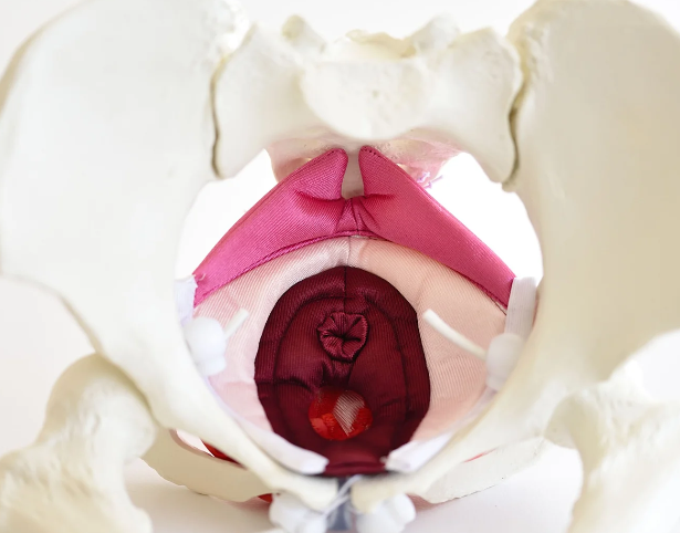 Servicios fisioterapia