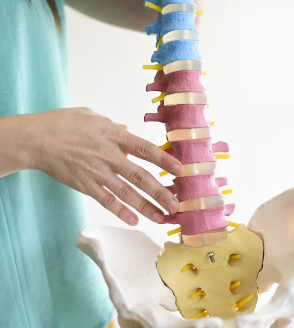 Servicios fisioterapia