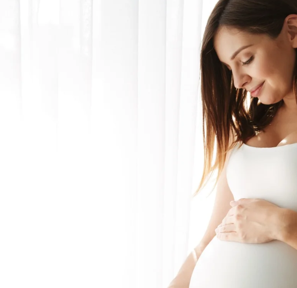 Servicios fisioterapia